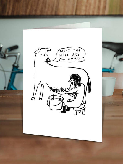 David Shrigley Card What The Hell Funny