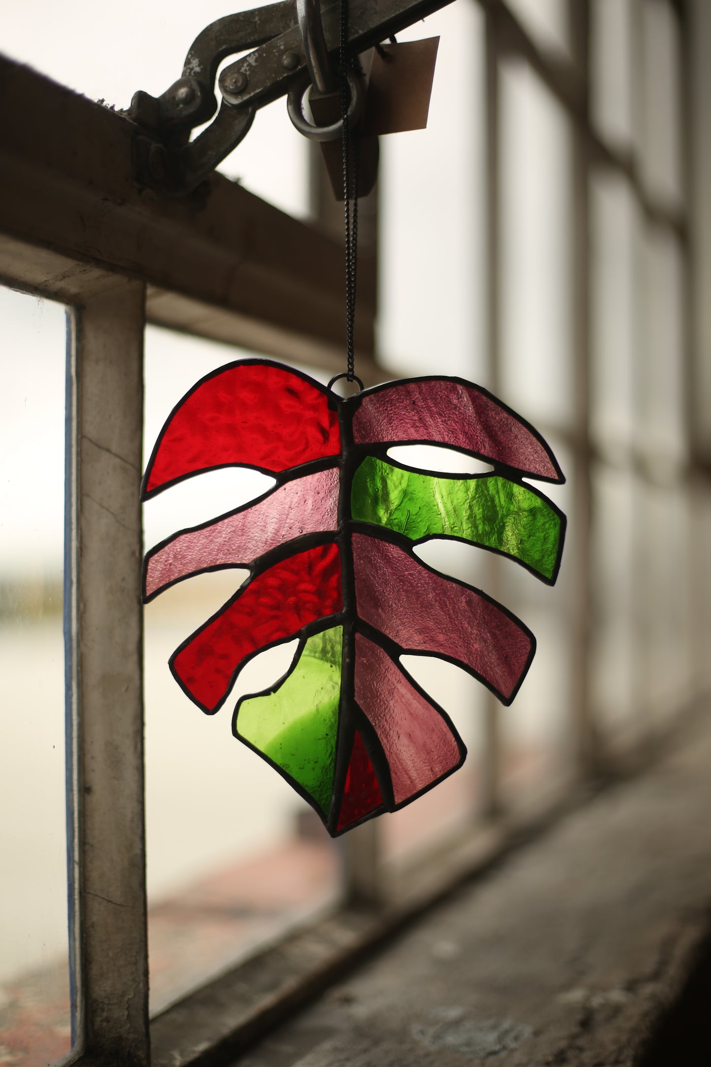 Olive Can Fly | Monstera Leaf | Stained Glass