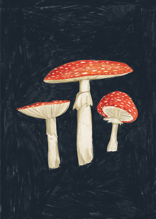 Joy Nevada |Mushroom | A4 Art Print
