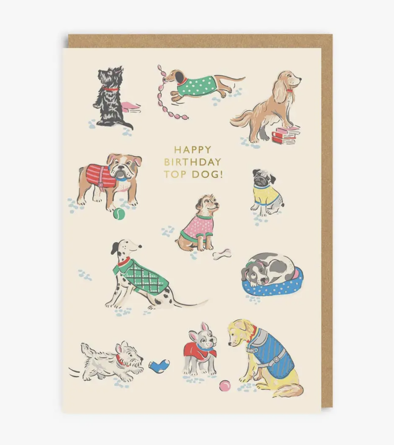 Happy Birthday Top Dog Greetings Card